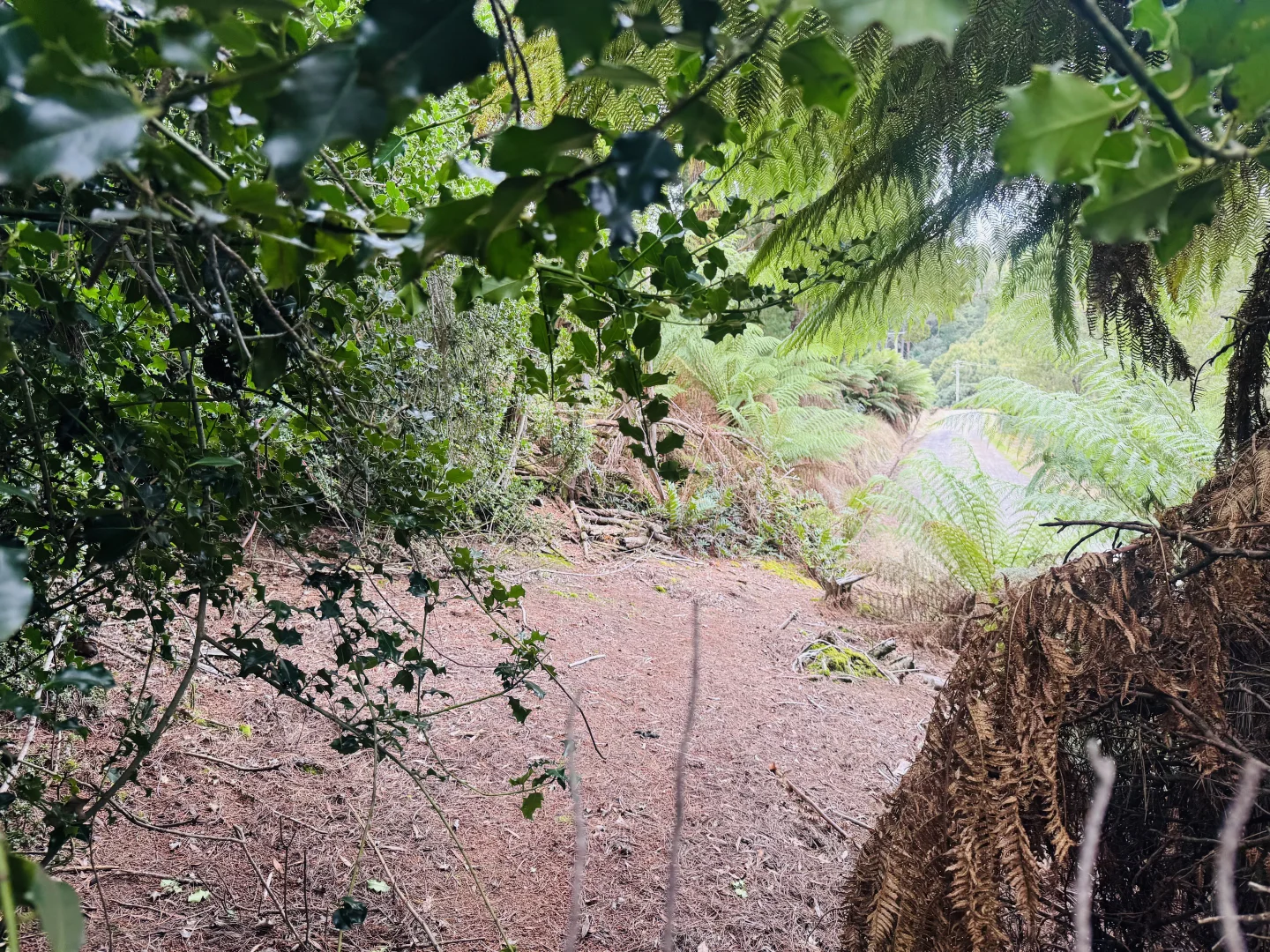 Additional image 2 of 33 Solly Street, Zeehan TAS 7469