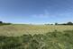 Chelynch, Shepton Mallet
