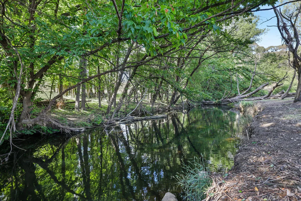 Additional image 23 of 3 Church Street, Rockley NSW 2795