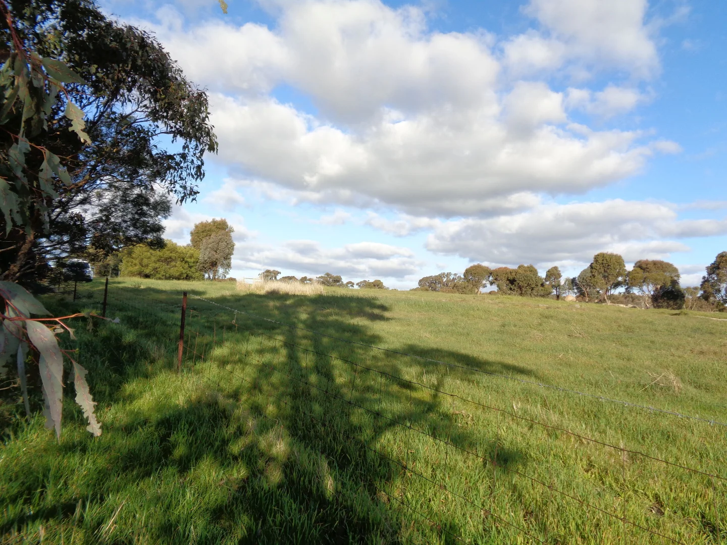 Additional image 13 of 2 Springvale Road, Lockwood South VIC 3551