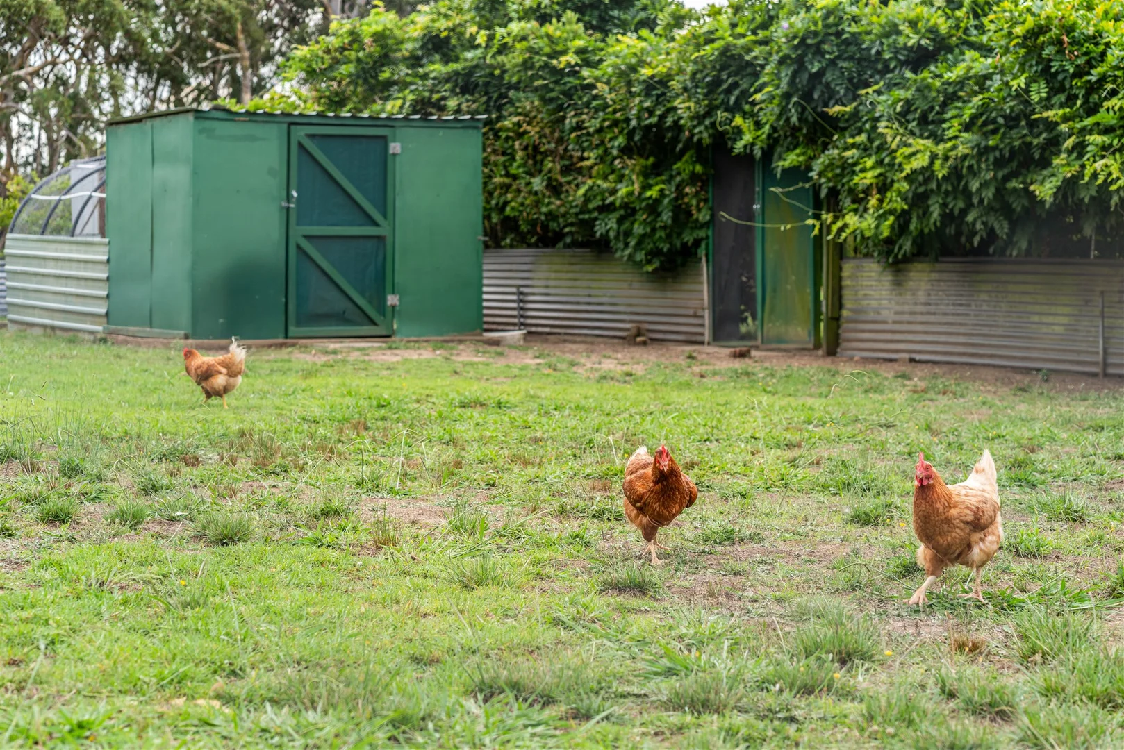 Additional image 21 of 819 Wombeyan Caves Road, High Range NSW 2575