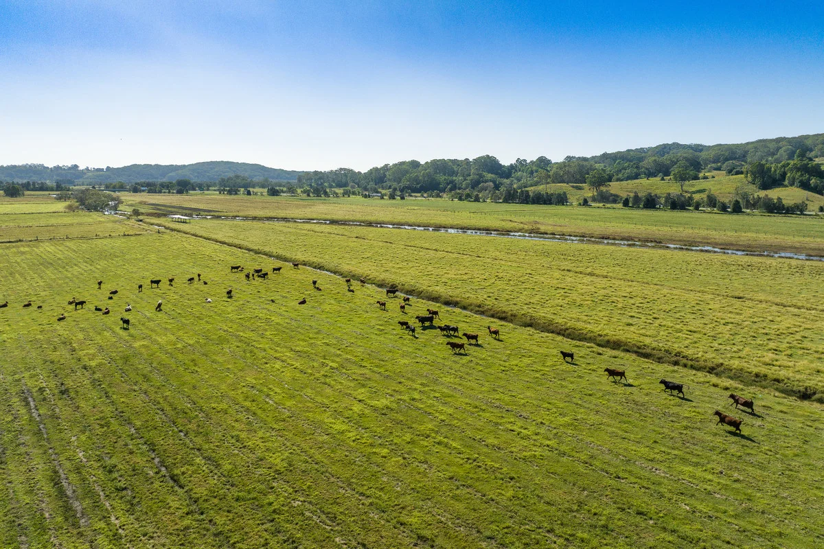 Additional image 4 of 660 Round Mountain Road, Round Mountain NSW 2484