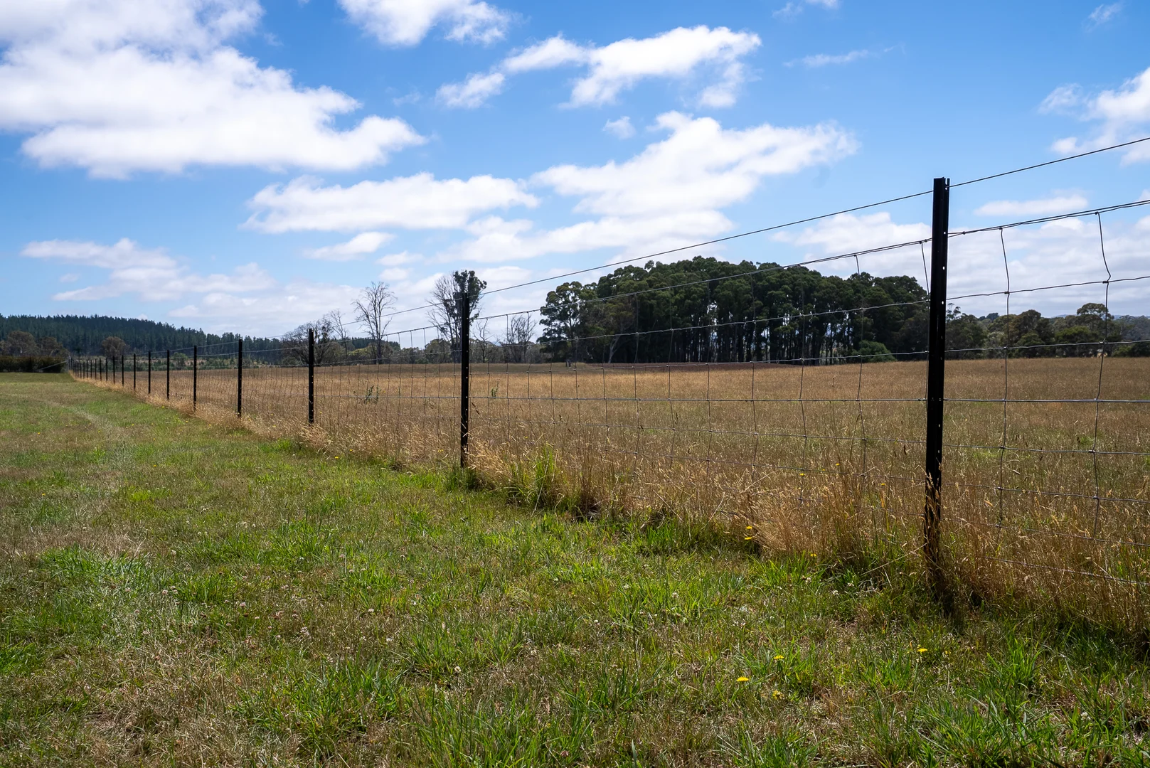 Additional image 34 of 951 Shooters Hill Road, Chatham Valley NSW 2787