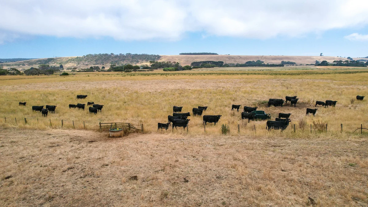 Additional image 15 of 6 Orchards Road, Narrawong VIC 3285