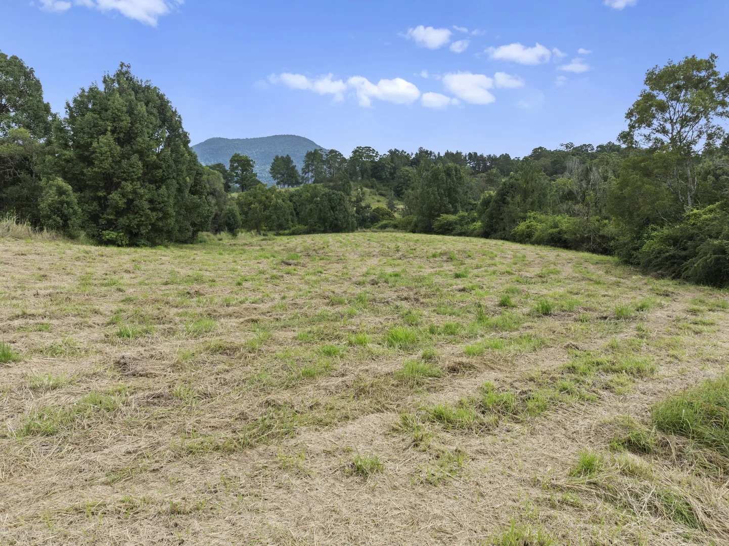 Additional image 16 of 111 Brays Creek Road, Tyalgum NSW 2484