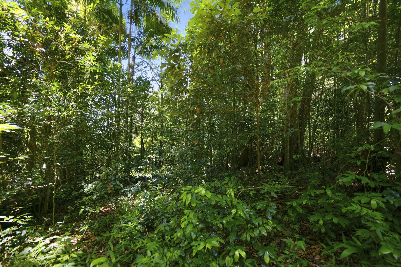 Additional image 4 of Lot 3/1968 Mount Glorious Road, Mount Glorious QLD 4520