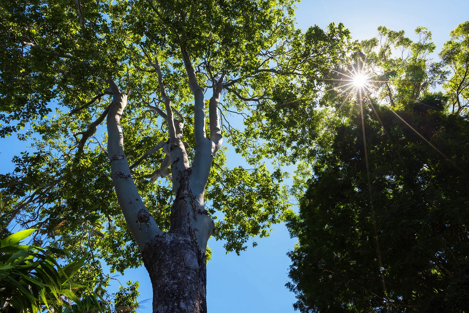 Additional image 27 of 129 Richmond Hill Road, Richmond Hill NSW 2480