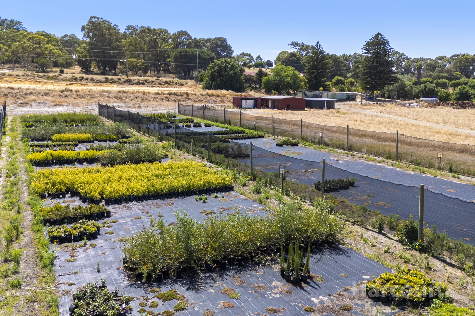 Additional image 5 of 187 Karoborup Road, Carabooda WA 6033