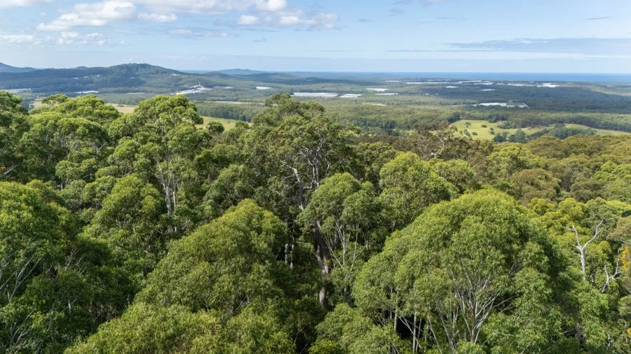 Additional image 10 of 1458 Sherwood Creek Road, Sherwood NSW 2450