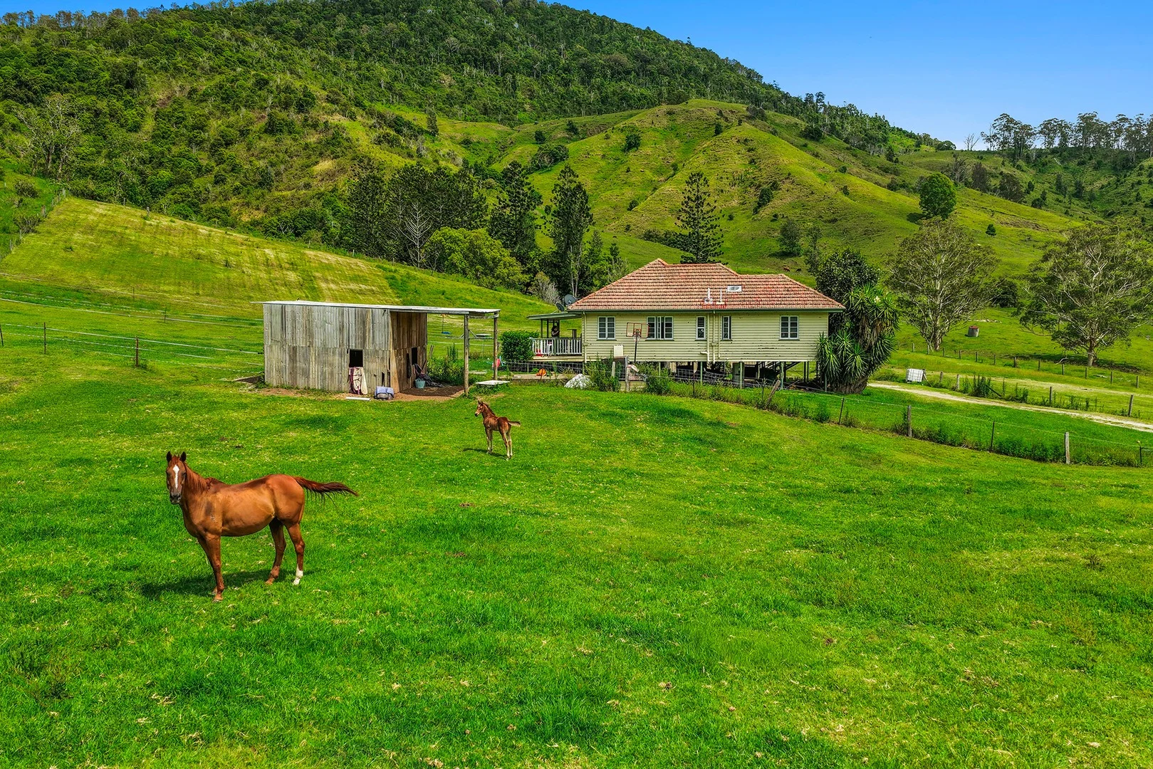 Additional image 2 of 248 Illinbah Road, Illinbah QLD 4275