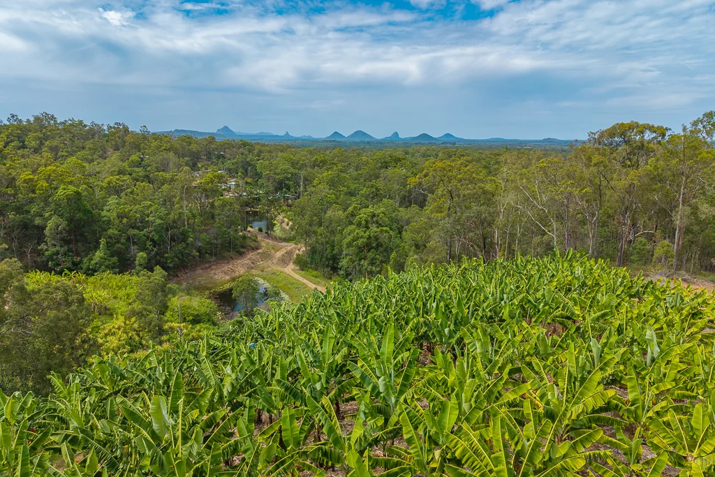 Additional image 7 of 349 Jackson Road, Wamuran QLD 4512