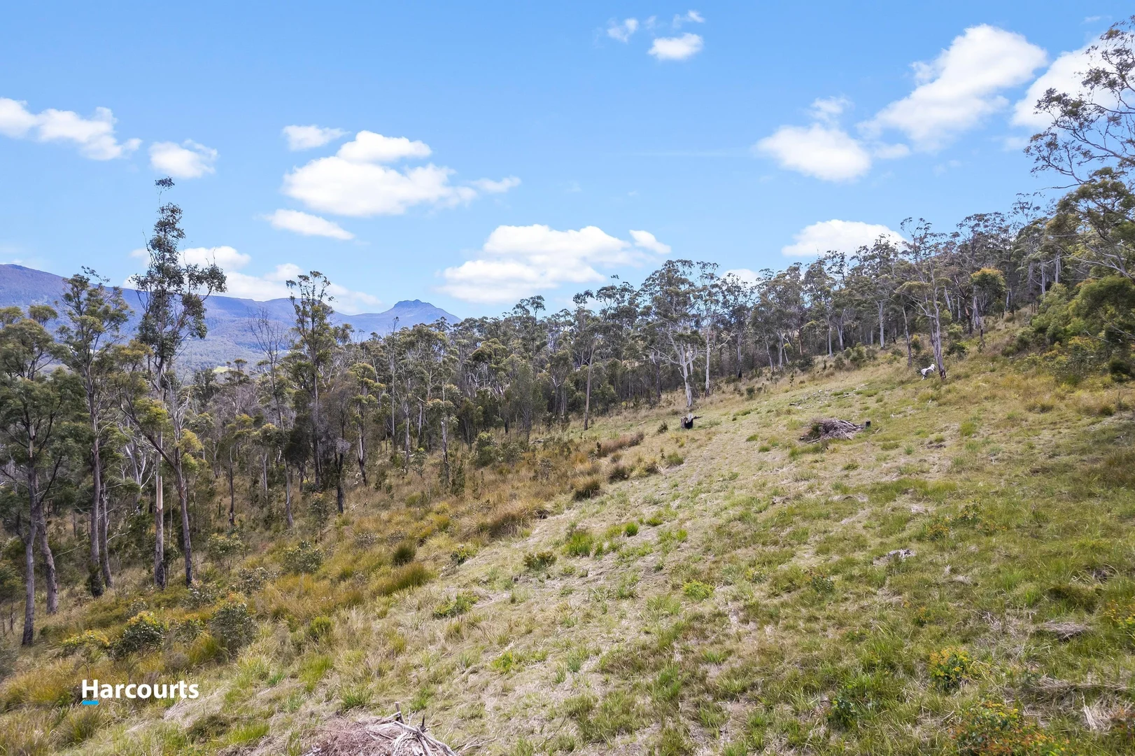 Additional image 8 of 41 Grovenor Rise, Grove TAS 7109