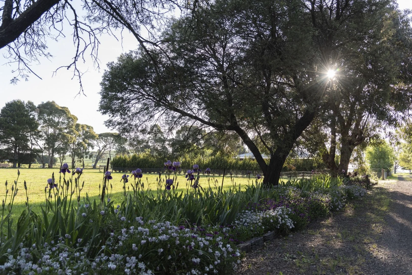 Additional image 19 of 25 McMahons Road, Glenlyon VIC 3461