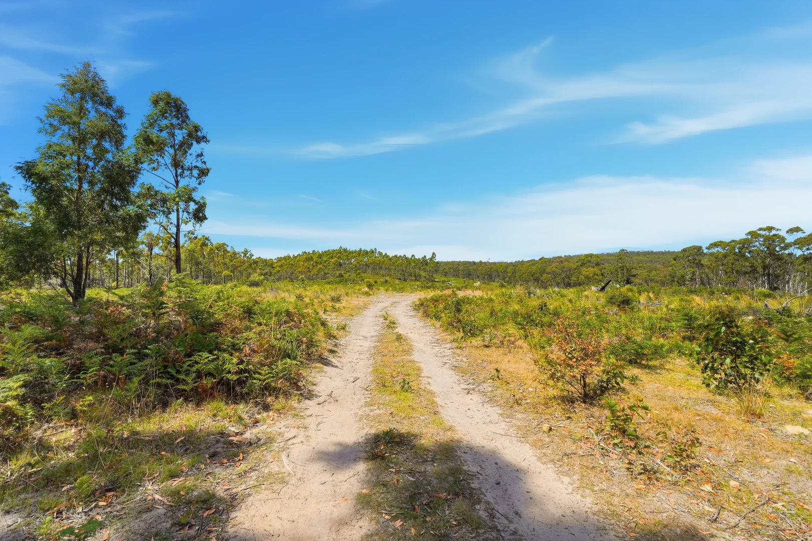 Additional image 15 of 422 Levendale Back Road, Levendale TAS 7120