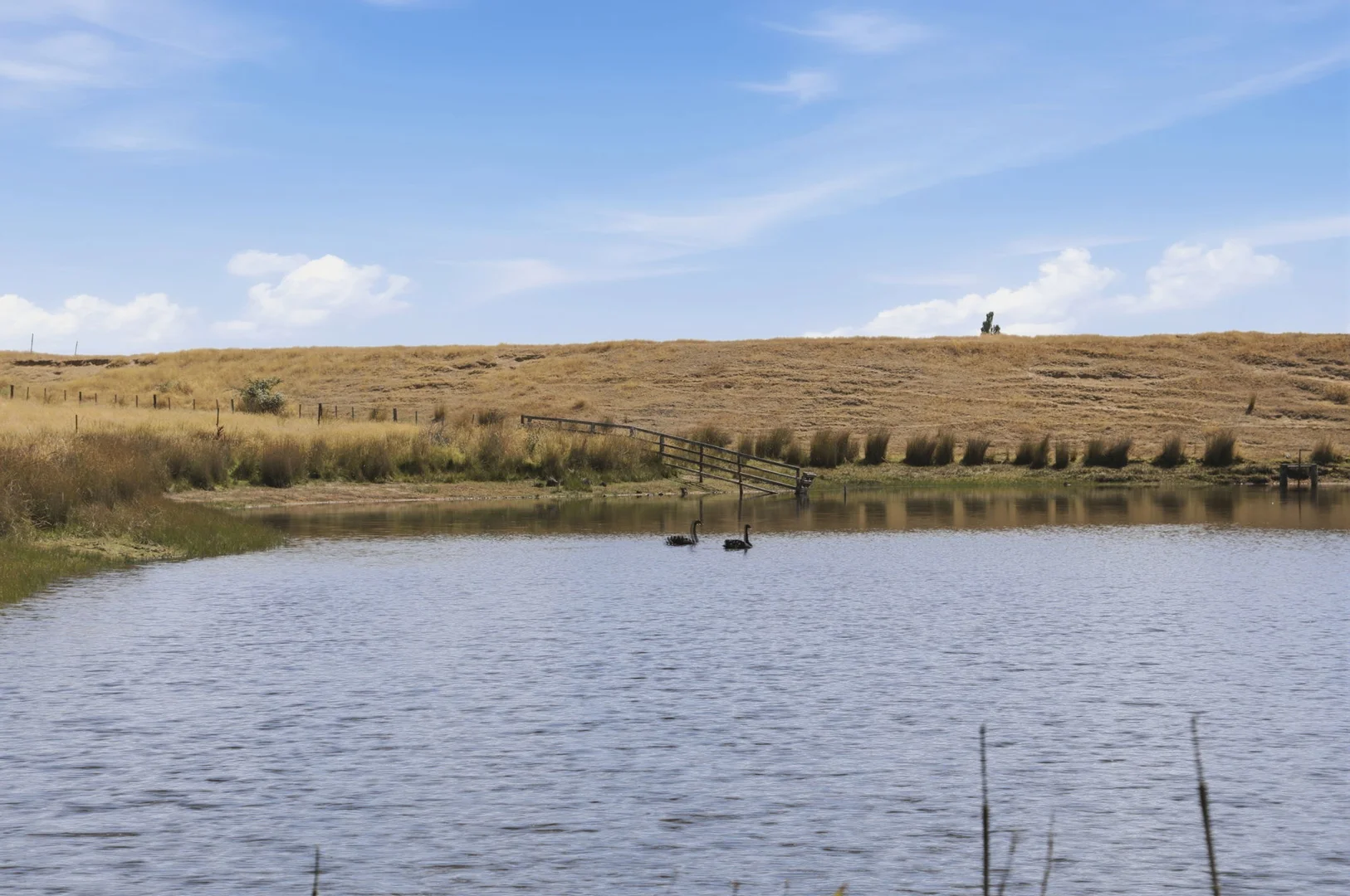 Additional image 27 of 936 Westwood Road, Westwood TAS 7292