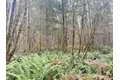 Additional image 35 of 298 Boone Rd, Toledo, WA, 98591