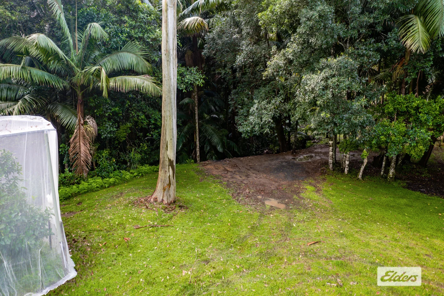 Additional image 18 of 1798 Dooralong Road, Lemon Tree NSW 2259