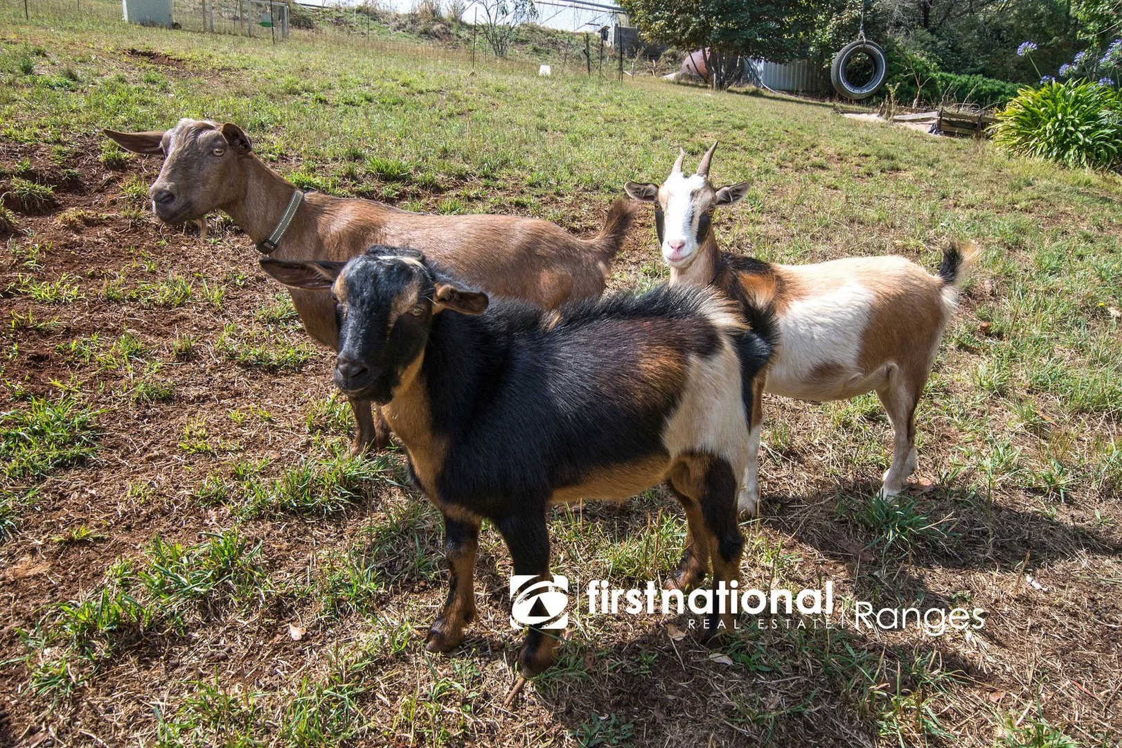 Additional image 22 of 73 Emerald Creek Road, Monbulk VIC 3793