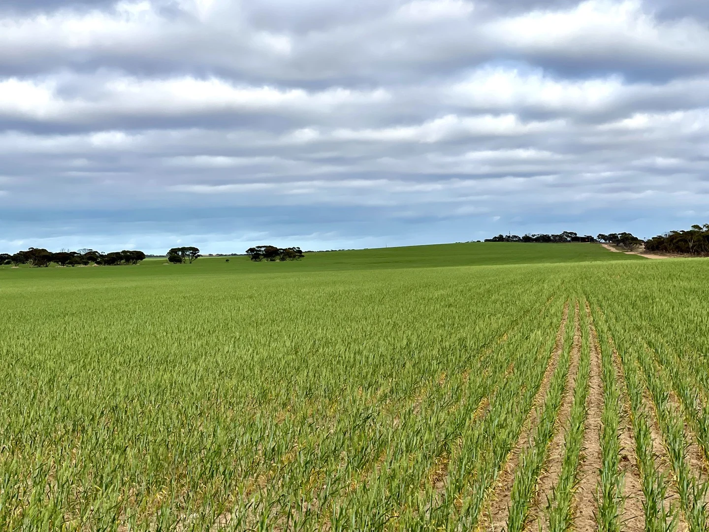 Section 22 Marchant Road, Mudamuckla SA 5680