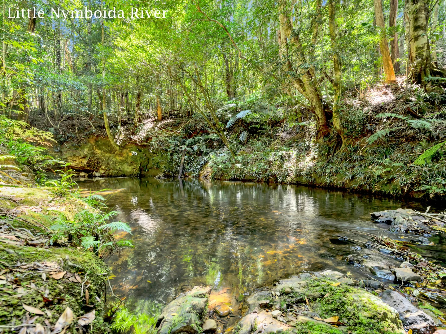 Additional image 3 of 1445 Eastern Dorrigo Way, Lowanna NSW 2450