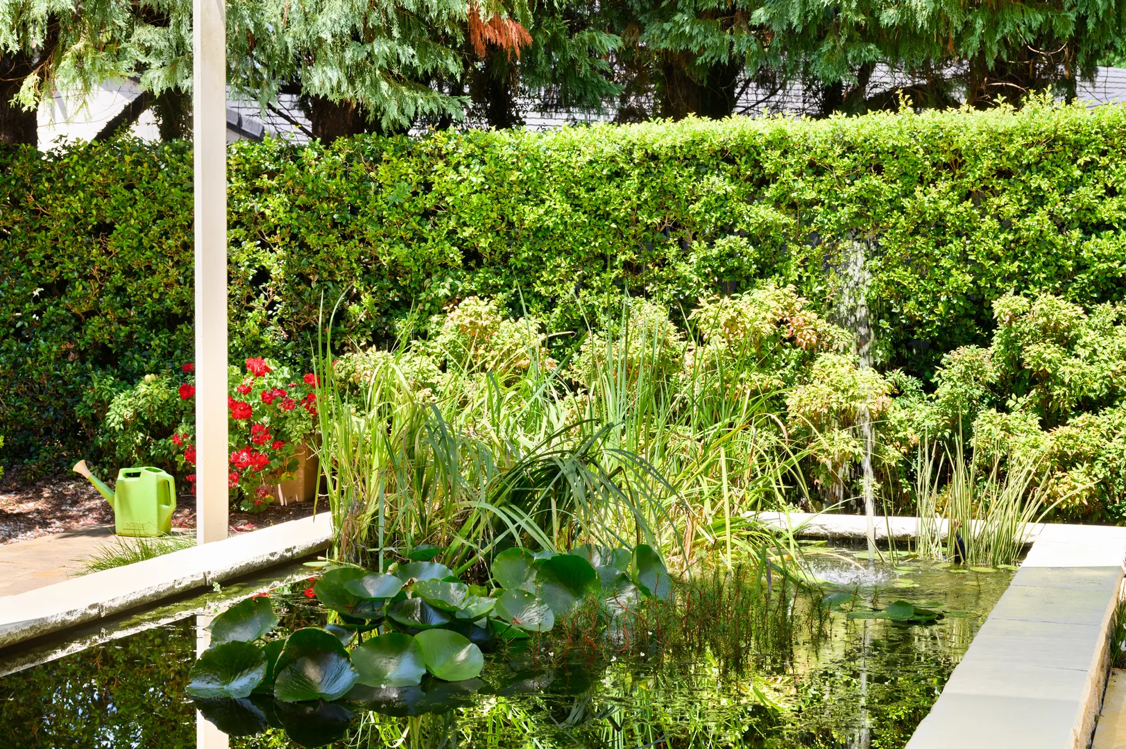 Additional image 26 of 1-27 Bishopp Court, Tamborine Mountain QLD 4272