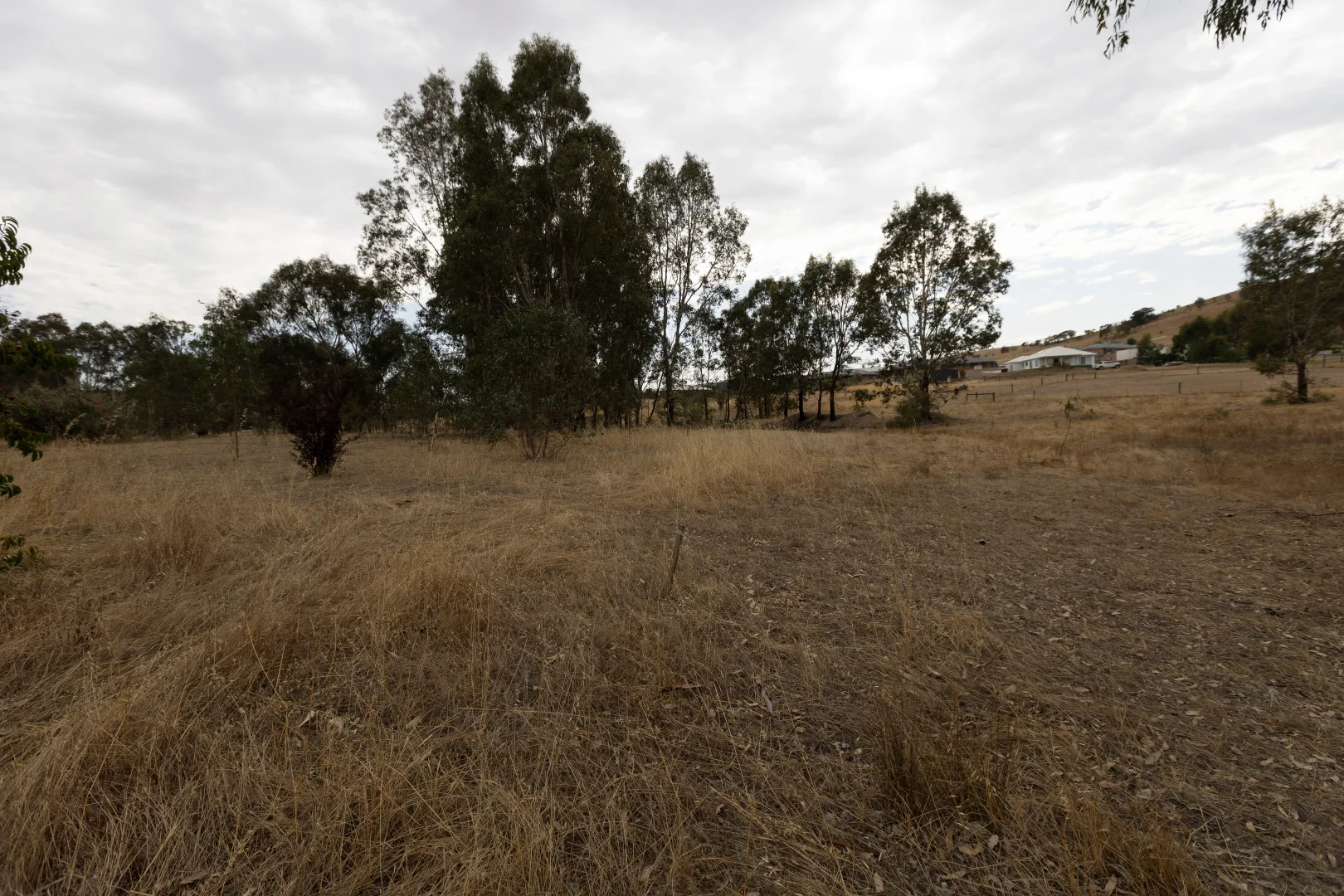 Additional image 5 of Avenel VIC 3664