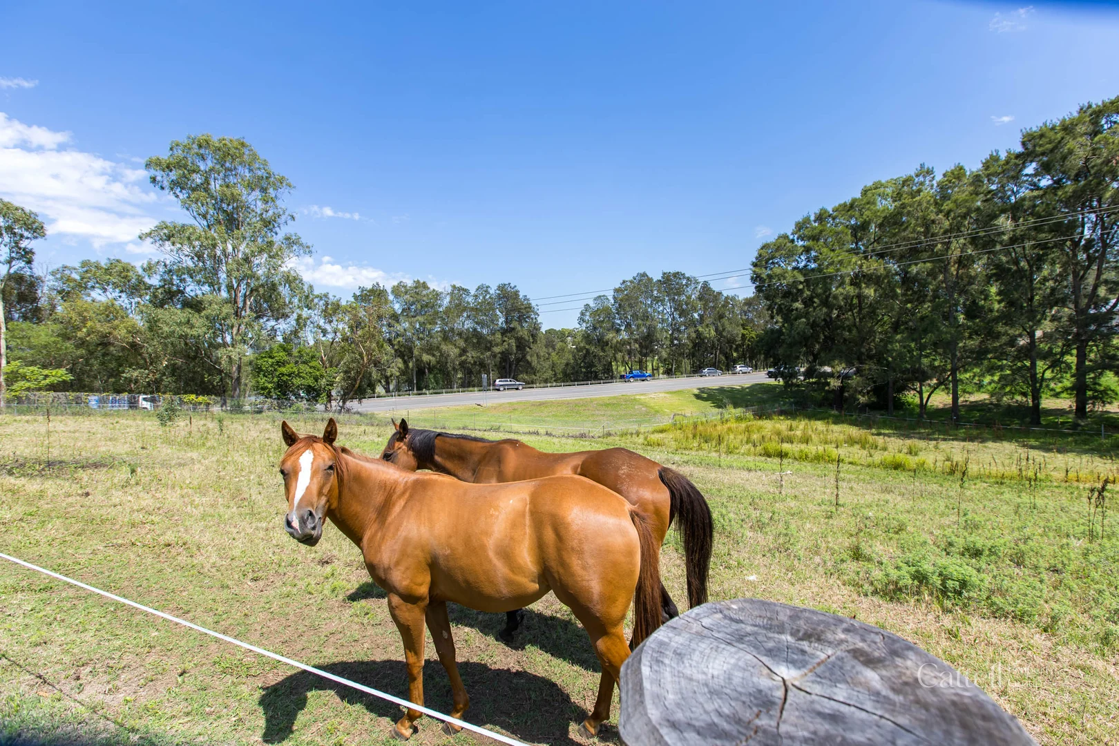 Additional image 25 of 64 Bonar Street, Maitland NSW 2320
