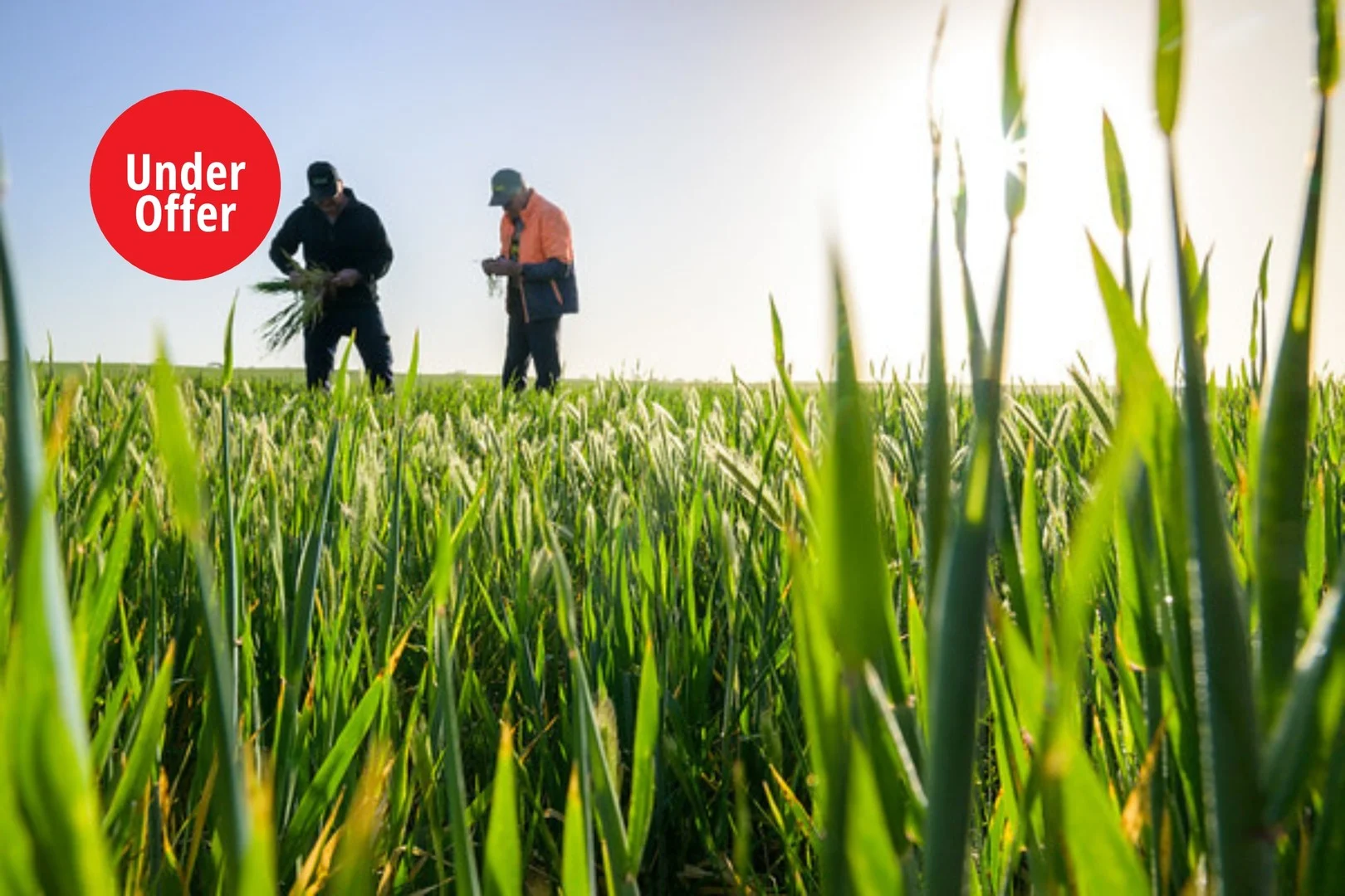 1058 Haby Road, Nildottie SA 5238