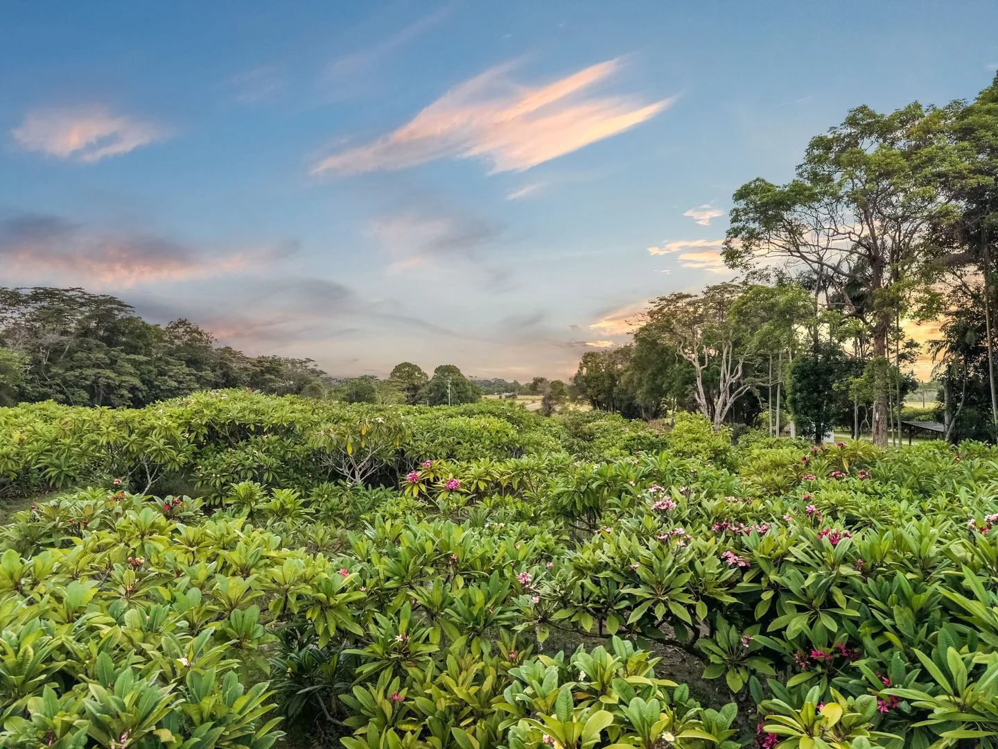 Additional image 31 of 16 Sartories Road, Pimlico NSW 2478