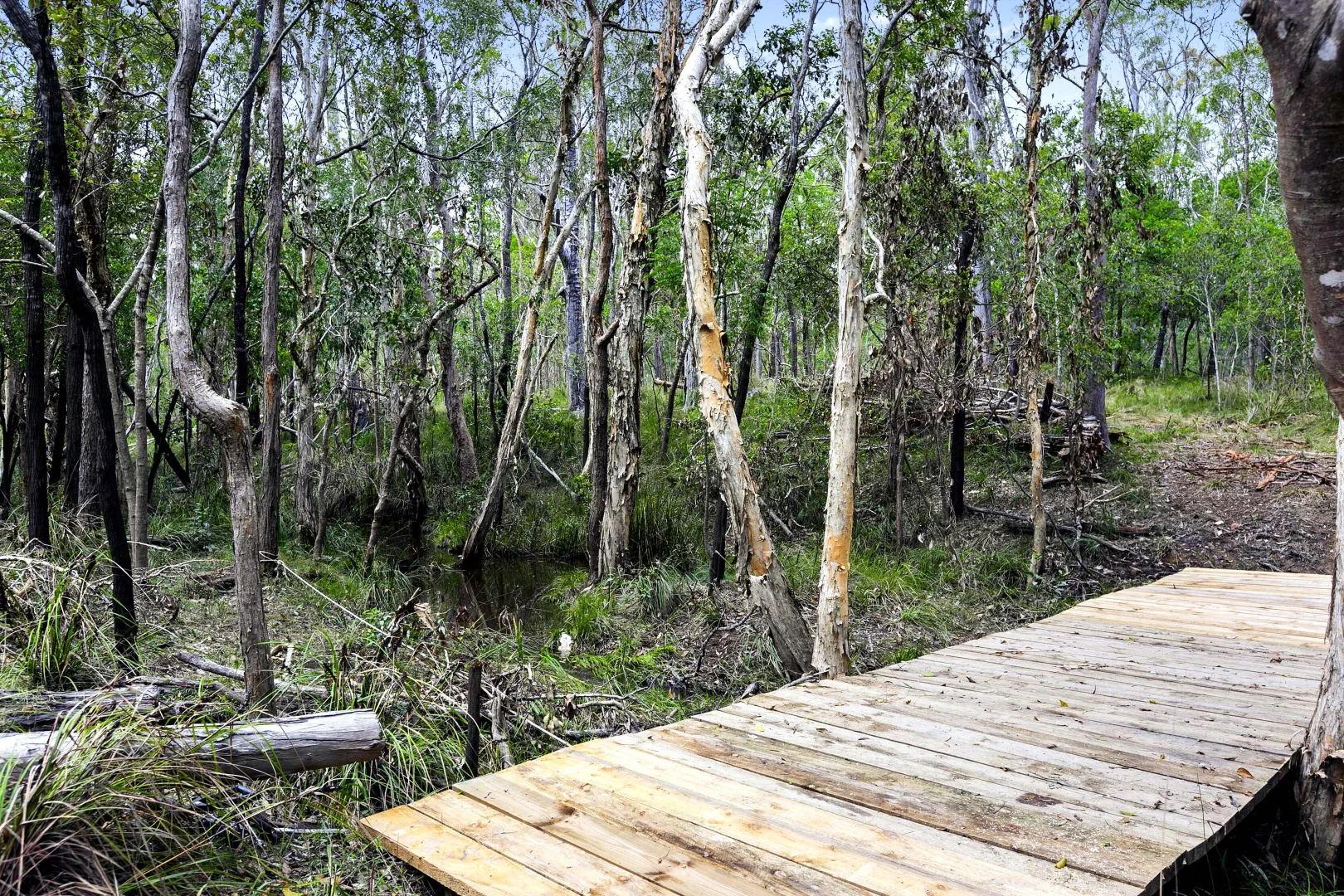 Additional image 27 of 77 Oxford Street, Bidwill QLD 4650