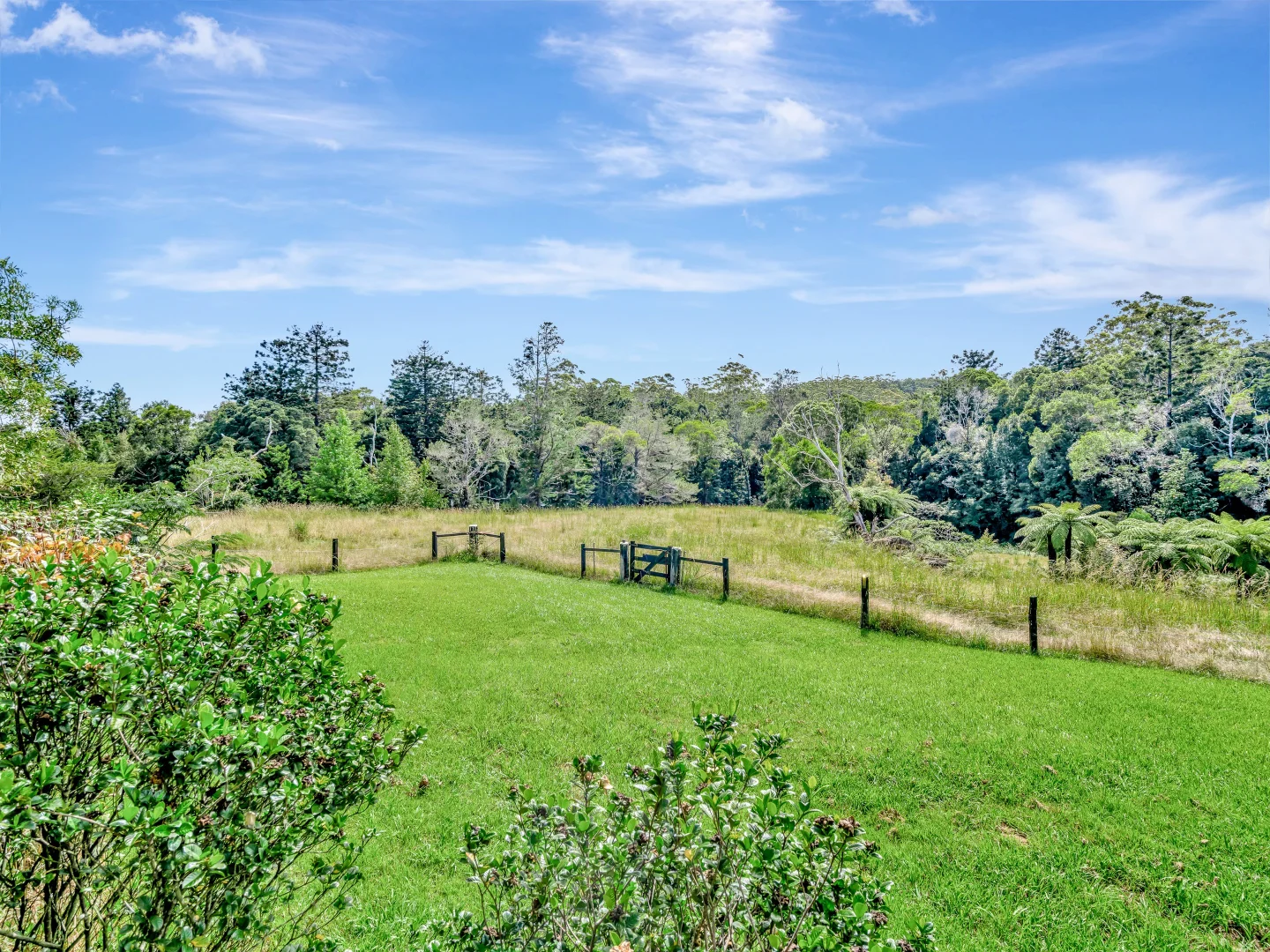Additional image 15 of 1445 Eastern Dorrigo Way, Lowanna NSW 2450