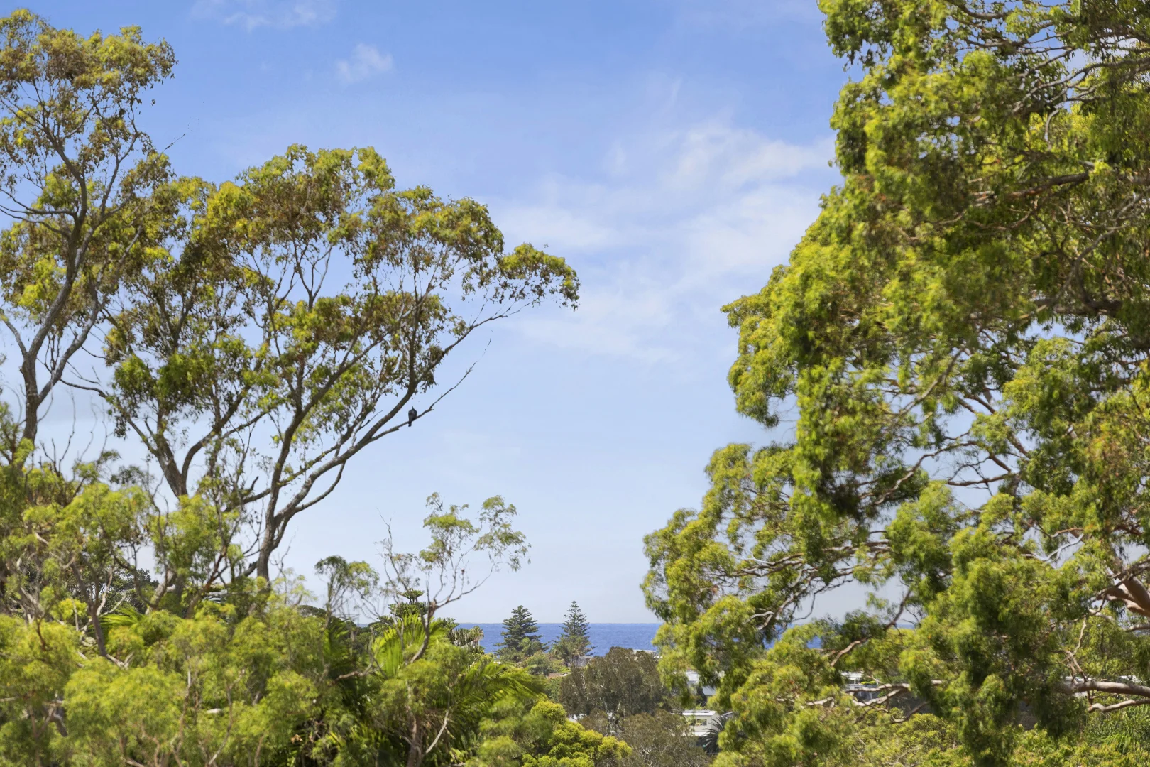 Additional image 22 of 129 Rickard Road, North Narrabeen NSW 2101