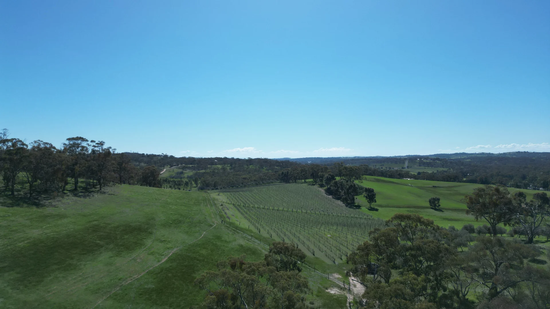 Additional image 2 of Lot 388 McCord Lane, Gillentown SA 5453