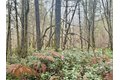 Additional image 23 of 298 Boone Rd, Toledo, WA, 98591