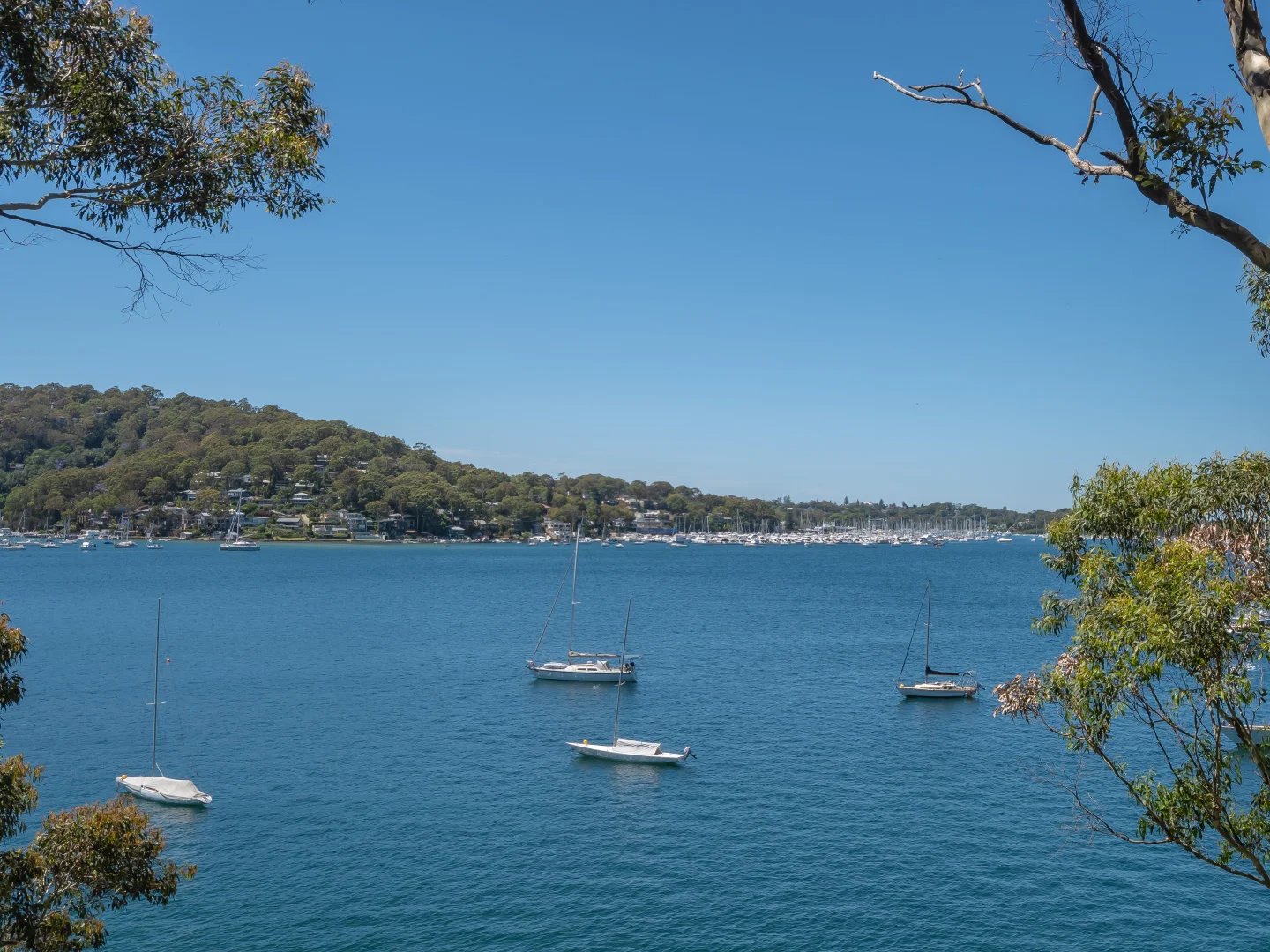 Additional image 3 of 135 Florence Tce, Scotland Island NSW 2105