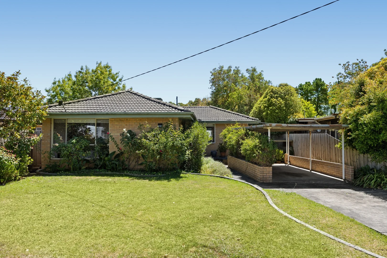 53 Argyll Street, Malvern East VIC 3145