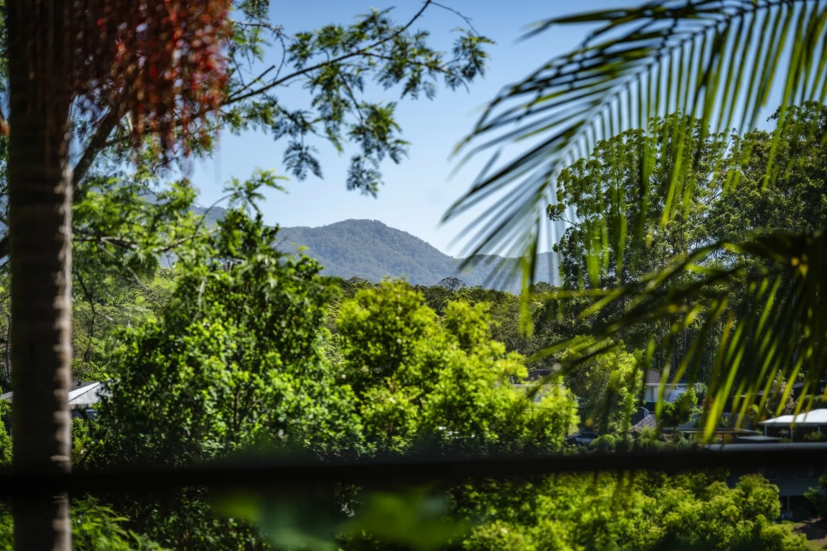 4 Melia Place, Bellingen NSW 2454