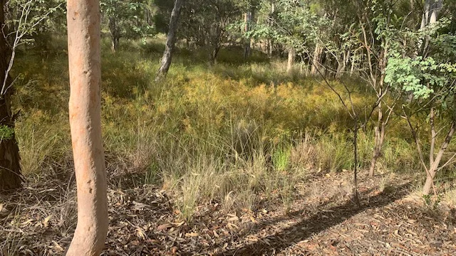 Additional image 5 of L184 Golden Glow Road, Tara QLD 4421