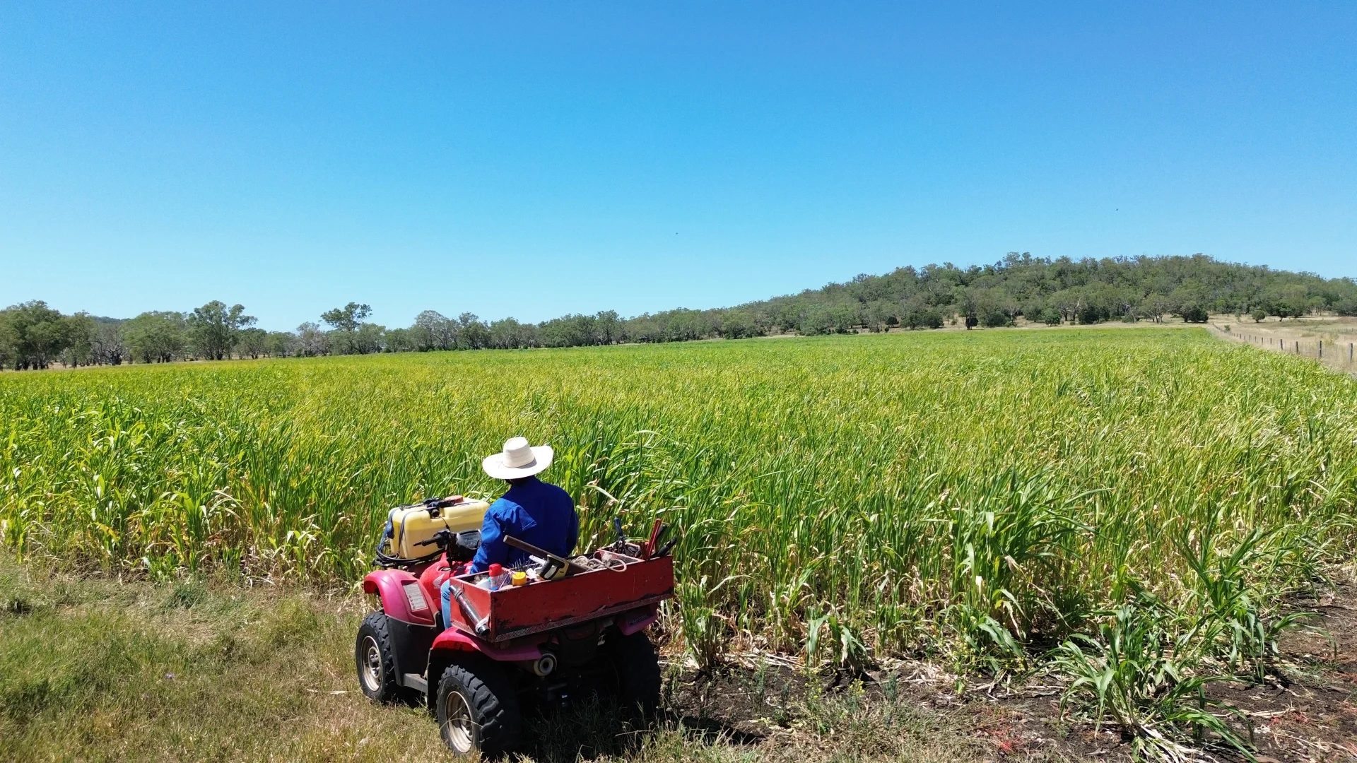 Additional image 3 of 242 Ehrlich Road, Linthorpe QLD 4356