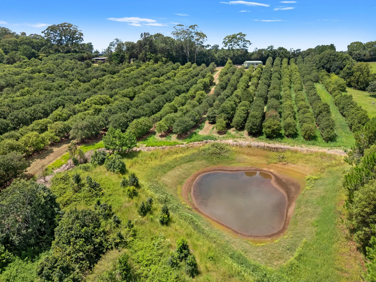 Additional image 30 of 475 Pearces Creek Road, Alstonvale NSW 2477