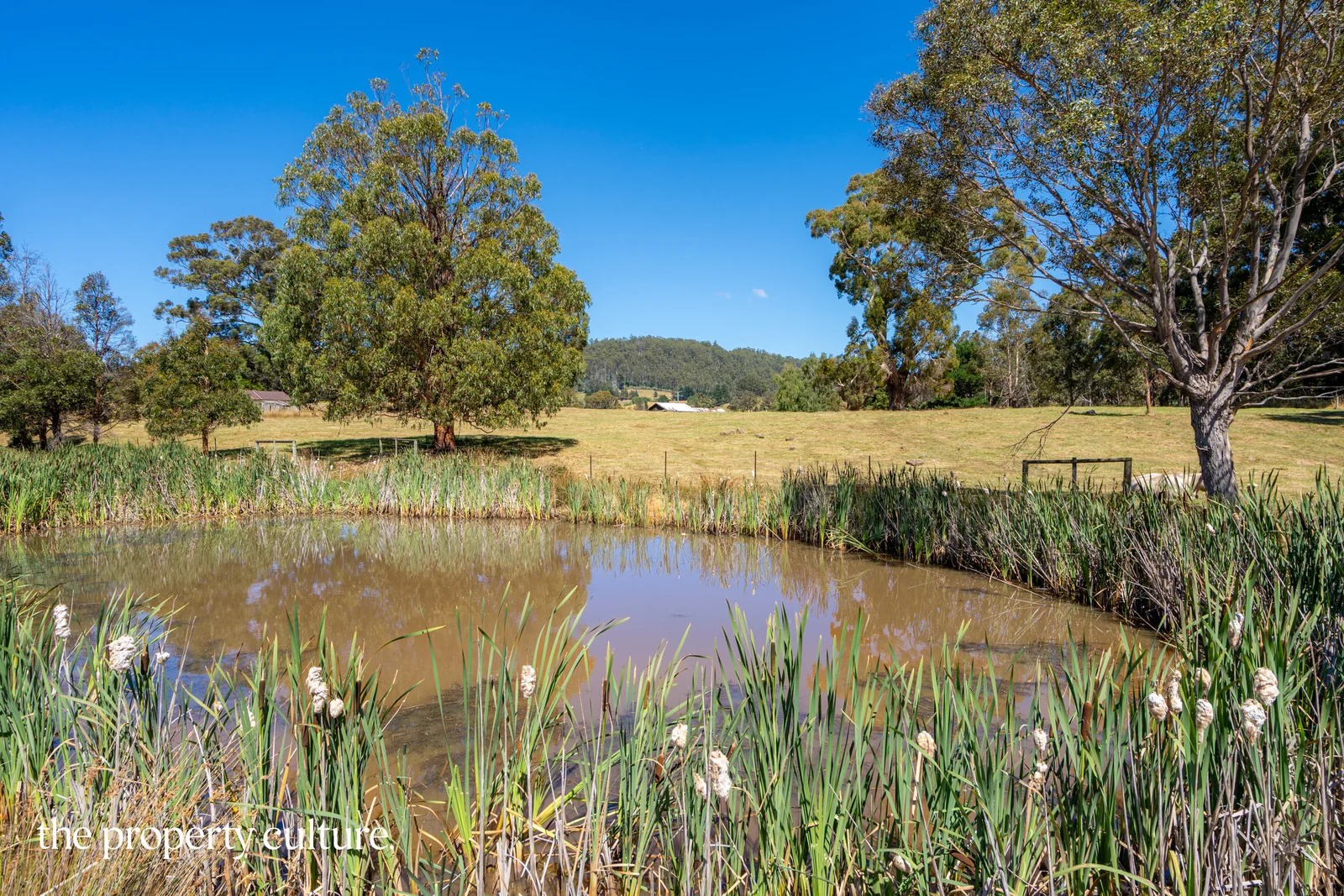 Additional image 27 of 1 Rowes Road, Geeveston TAS 7116