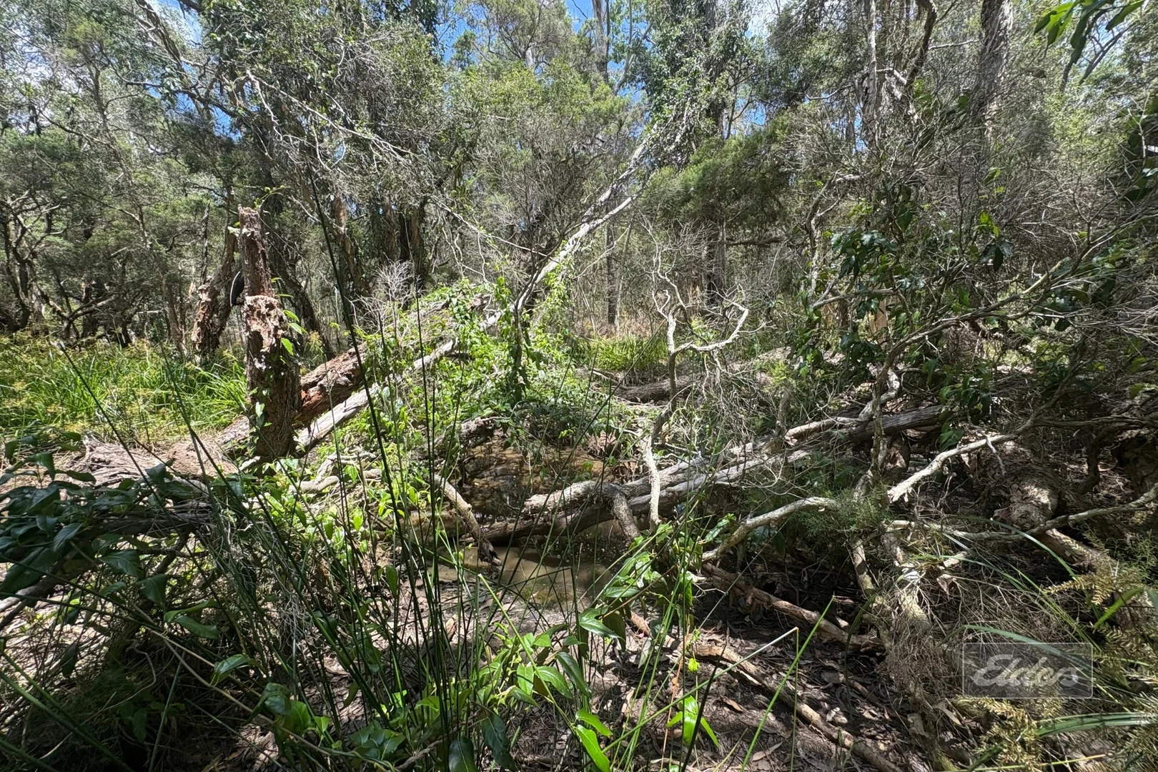 Additional image 7 of Lot 140 Daniel Road, Bauple QLD 4650