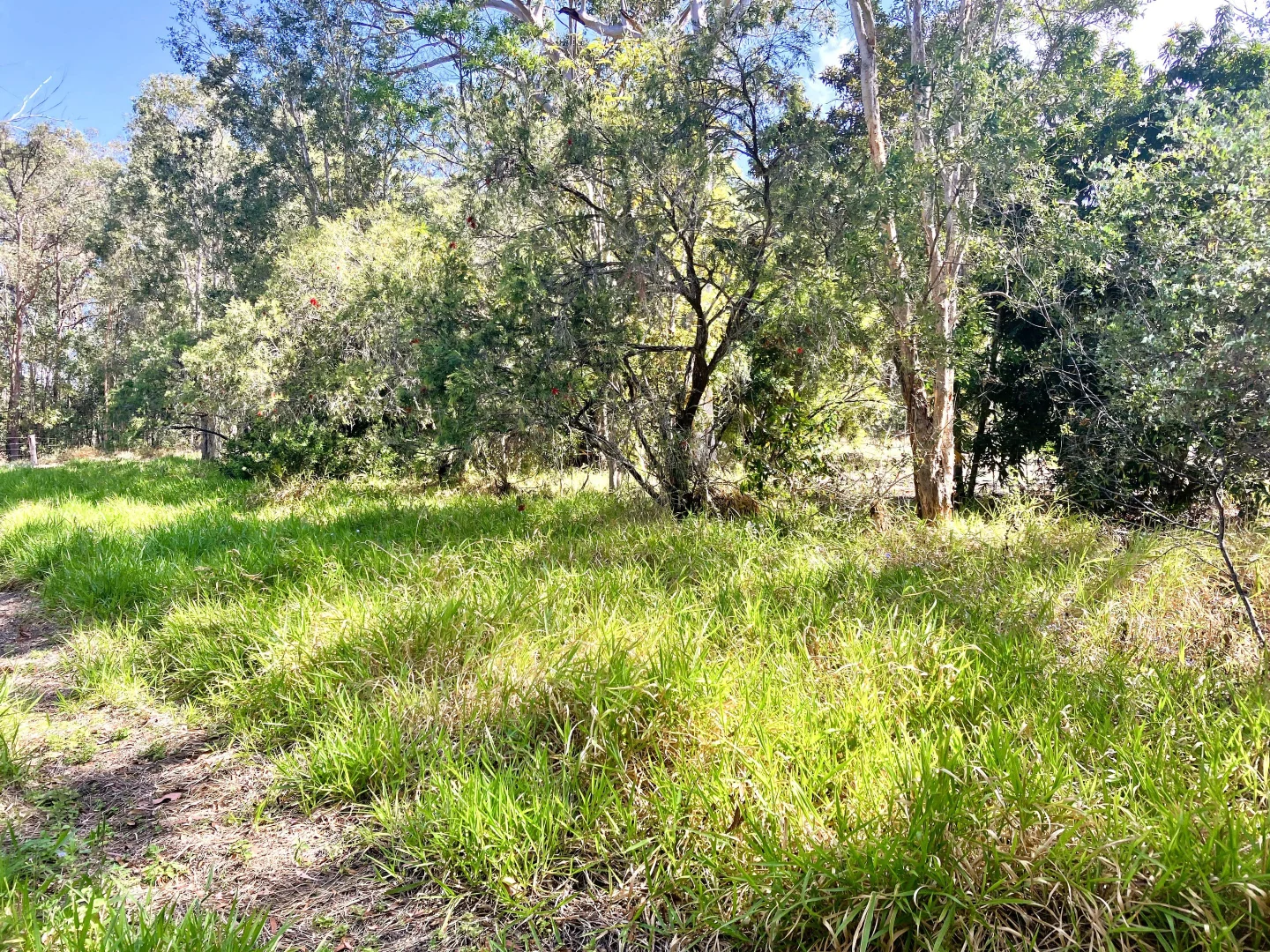 Additional image 4 of 119 Mount Mee Road, Delaneys Creek QLD 4514