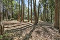 Additional image 53 of 28245 Big Dipper Rd, Colfax, CA, 95713