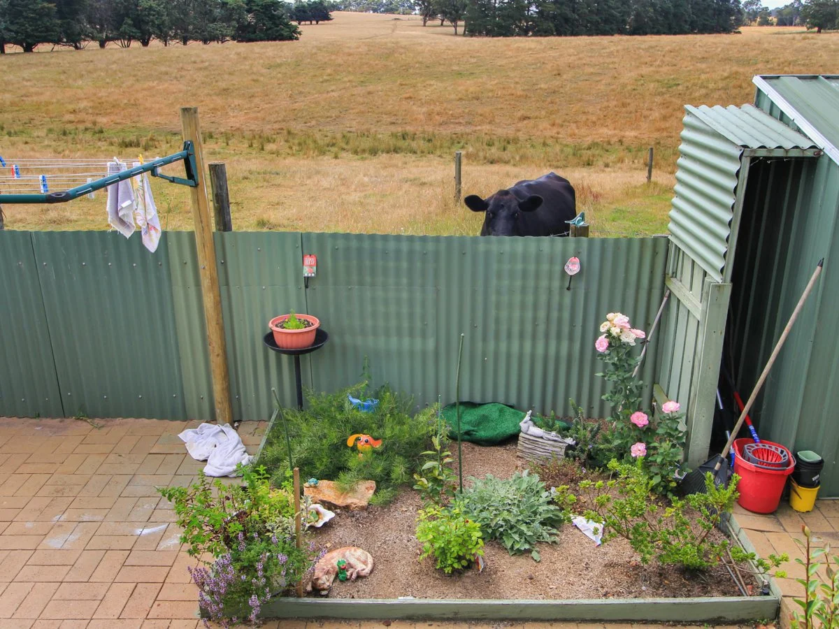 Additional image 9 of 95/62 Punt Road, Johnsonville VIC 3902