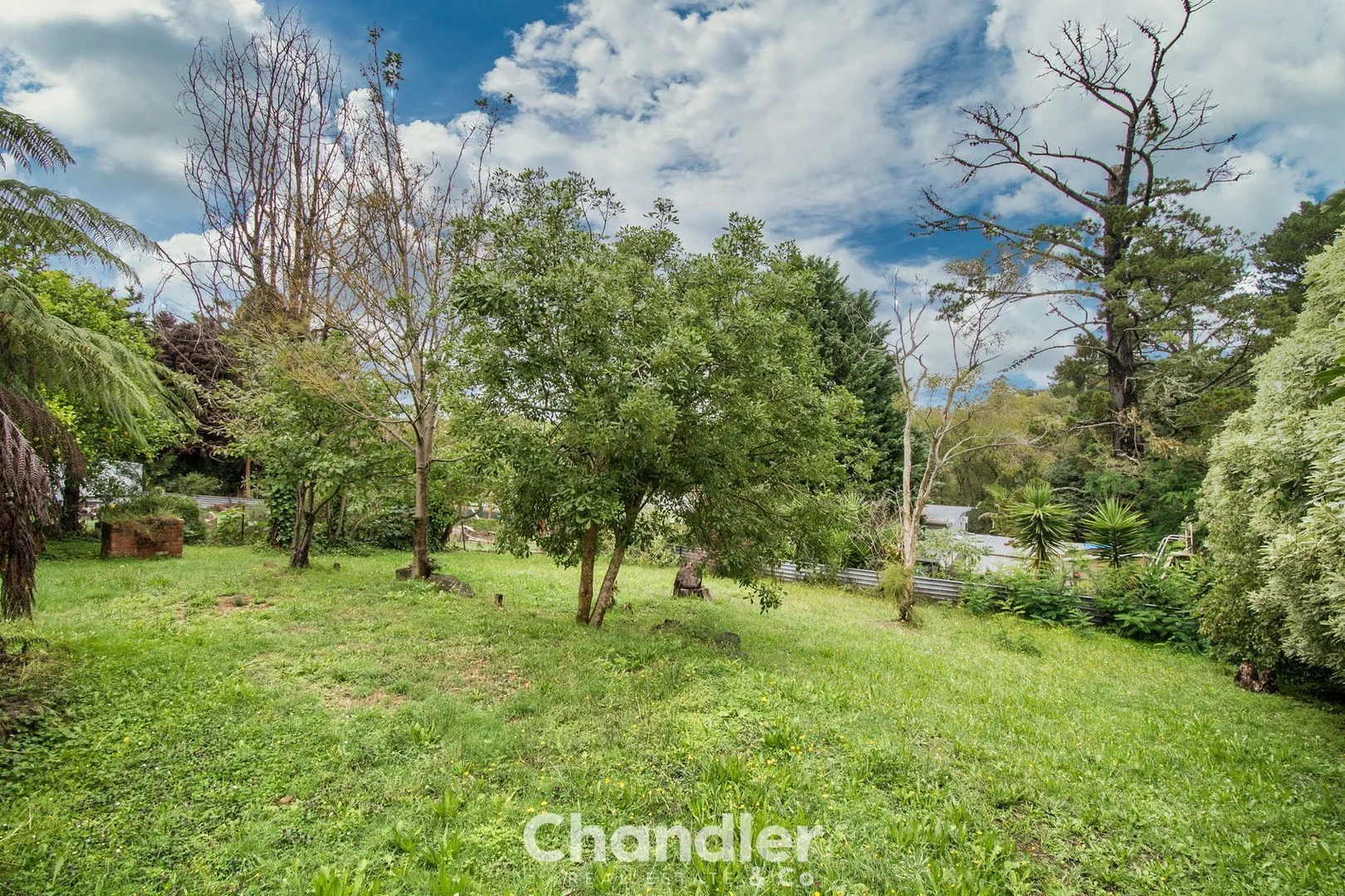 Additional image 12 of 8 Durban Road, Emerald VIC 3782
