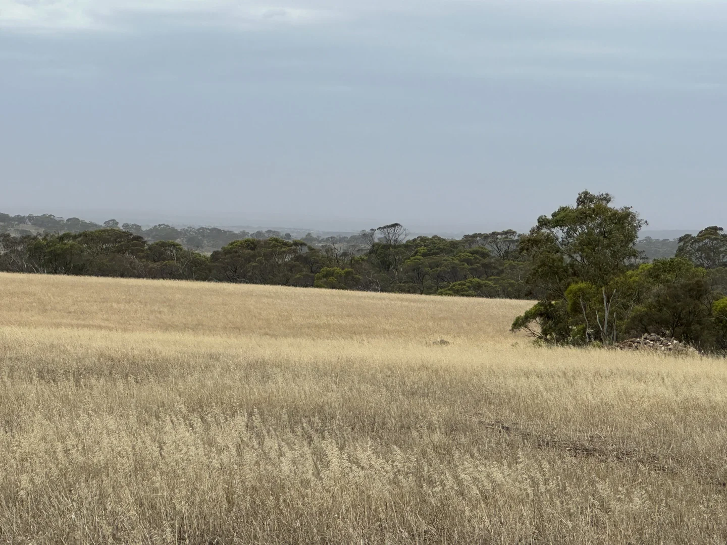 Additional image 6 of Lot 1 Highland Road, Monarto SA 5254