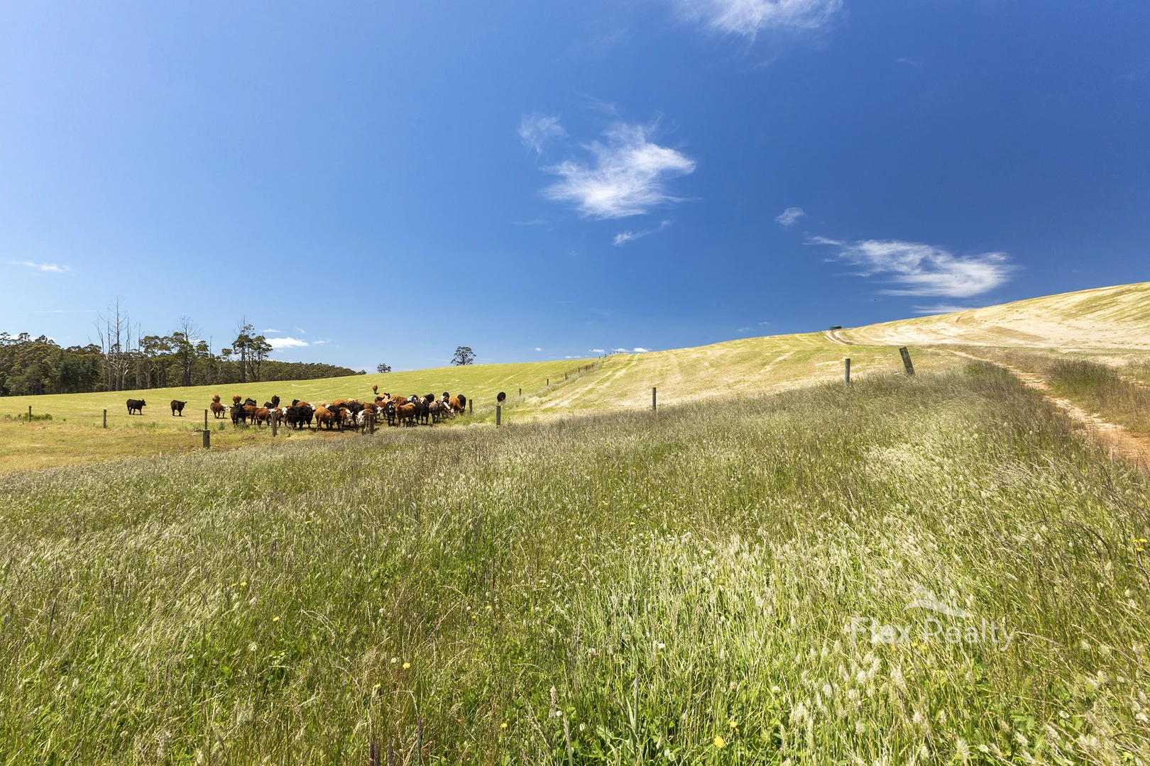 Additional image 8 of 0 Newhaven Road, Mawbanna TAS 7321