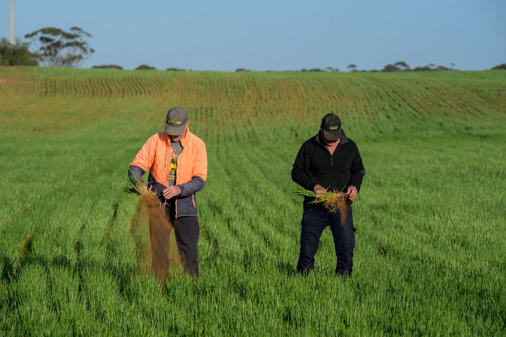 Additional image 3 of 1058 Haby Road, Nildottie SA 5238