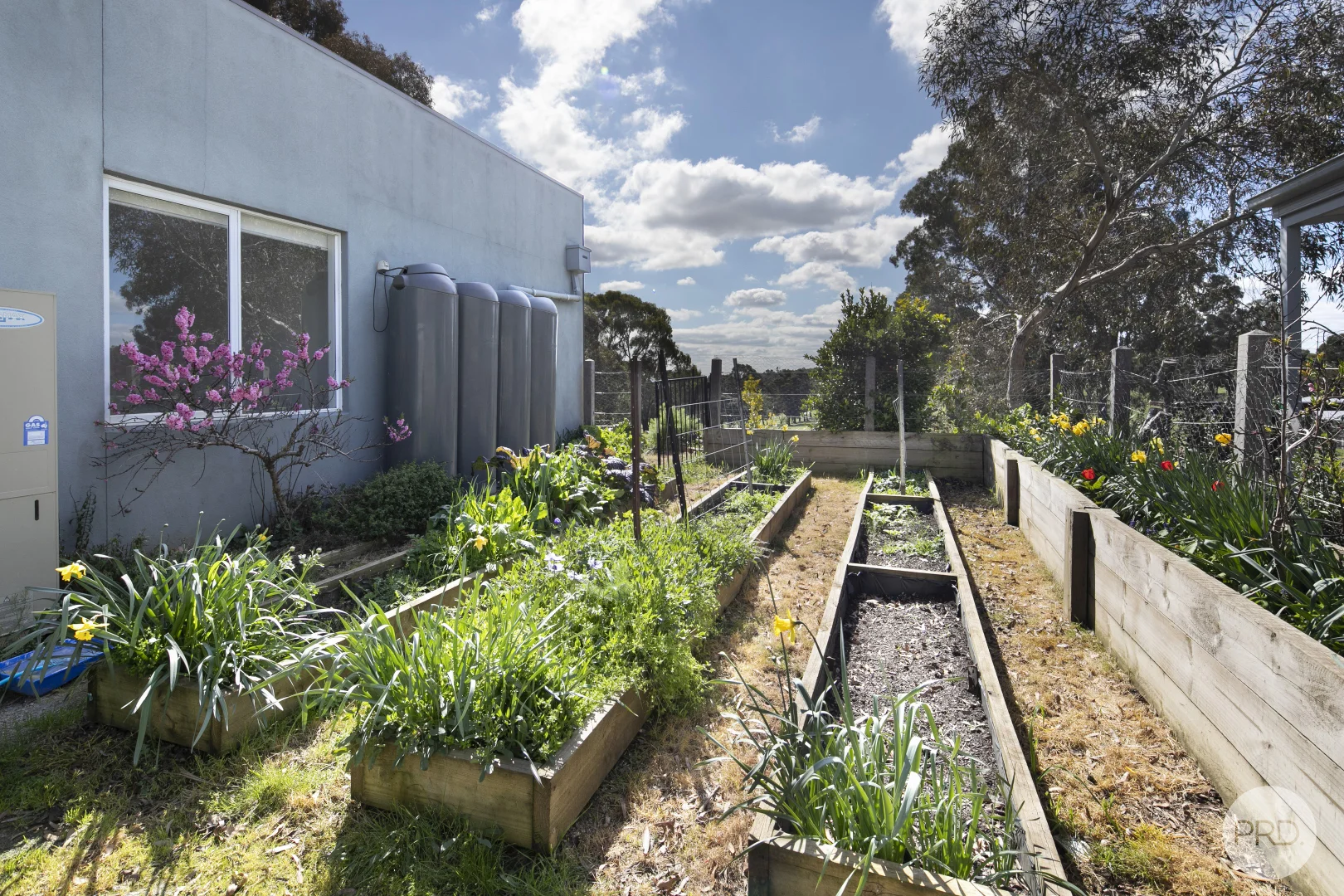 Additional image 16 of 11 Augusta Drive, Creswick VIC 3363